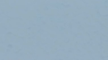 Ekranın Buz Donduran Canlandırması. 3B canlandırma Canlandırması.