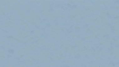 Ekranın Buz Donduran Canlandırması. 3B canlandırma Canlandırması.