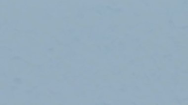 Ekranın Buz Donduran Canlandırması. 3B canlandırma Canlandırması.