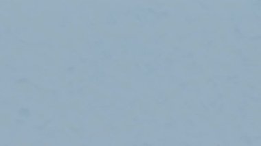 Ekranın Buz Donduran Canlandırması. 3B canlandırma Canlandırması.