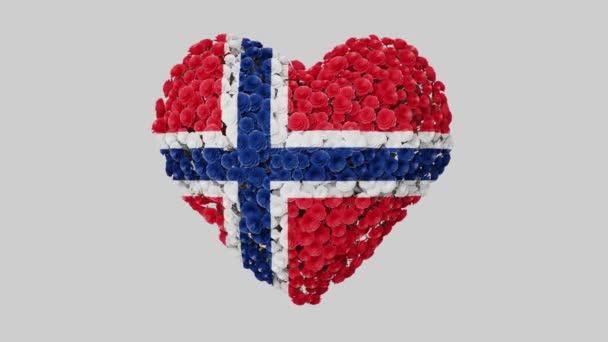 Norwegen Nationalfeiertag Mai Herzanimation Mit Alpha Matte Blumen Bilden Eine — Stockvideo