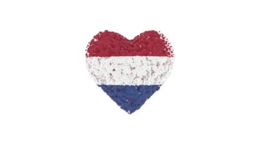 Hollanda Günü 'nde. Kurtuluş Günü. 5 Mayıs. Alfa mat ile kalp animasyonu. Çiçekler kalp şeklini oluşturuyor. 3B görüntüleme.