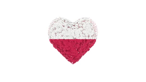 Den Nezávislosti Polsku Listopadu Srdeční Animace Alfa Matnou Květiny Vytvářejí — Stock video