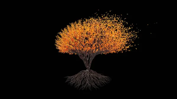 Δέντρο Σφαιρικό Σχήμα Εποχιακή Μετάβαση Μαύρο Φόντο Οικολογικό Νόημα Απόδοση — Φωτογραφία Αρχείου