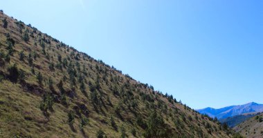 Tepede kozalaklı ağaçlar ve uzakta dağlar var. Bosna-Hersek 'in Bjelasnica Dağı yolunda.