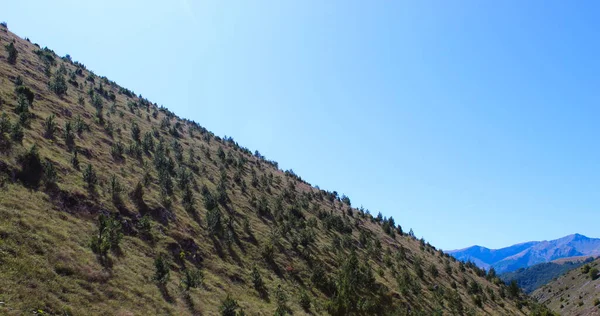 Tepede kozalaklı ağaçlar ve uzakta dağlar var. Bosna-Hersek 'in Bjelasnica Dağı yolunda.