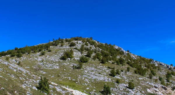 背景に空と石で丘の上の低木や茂み 山Bjelasnica ボスニア ヘルツェゴビナへの道 — ストック写真