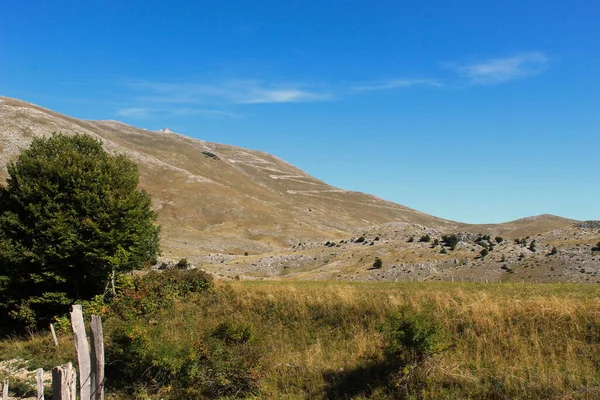 Bjelasnica Dağı 'nın çöl manzarası, zavallı bitki örtüsü ve bir sürü karst ve taş. Bjelasnica Dağı, Bosna-Hersek.