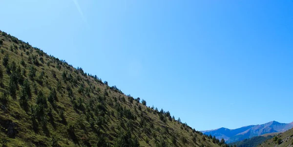 Ein Steiler Mit Nadelbäumen Bewaldeter Hügel Hintergrund Berge Wolkenloser Himmel — Stockfoto