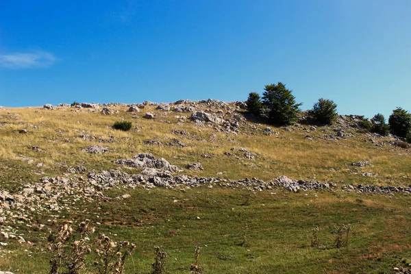 Kameny Louky Tráva Stromy Bjelasnica Mountain Bosna Hercegovina — Stock fotografie