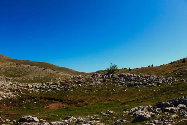在Bjelastic Nica山上的Karst 有很多石头 草地和几棵树 波斯尼亚和黑塞哥维那Bjelastic Nica山 — 图库照片