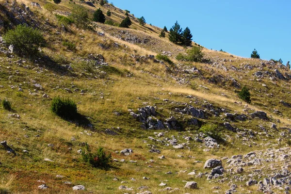Natura Pajişte Stâncoasă Tufişuri Copaci Muntele Bjelasnica Bosnia Herțegovina — Fotografie, imagine de stoc