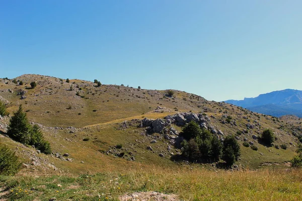 草和一些树 波斯尼亚和黑塞哥维那Bjelastic Nica山 — 图库照片