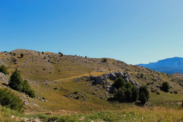 Ορεινοί Λόφοι Καρστ Γρασίδι Δέντρα Και Κορυφές Βουνών Απόσταση Bjelasnica — Φωτογραφία Αρχείου