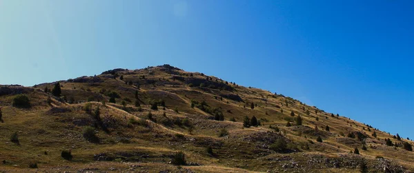 Banner Eines Welligen Hügels Mit Gepflanzten Nadelbäumen Mit Vielen Steinen — Stockfoto