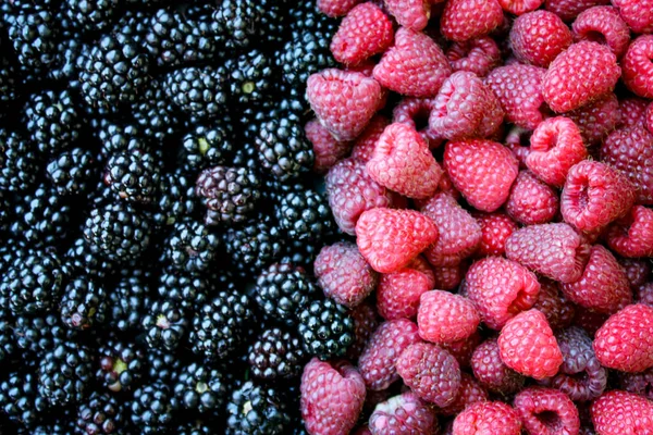 Top View Full Frame Blackberries Raspberries Zavidovici Bosnia Herzegovina — Stock Photo, Image