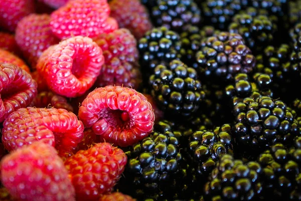 Himbeeren Und Brombeeren Banner Aus Nächster Nähe Makro Zavidovici Bosnien — Stockfoto