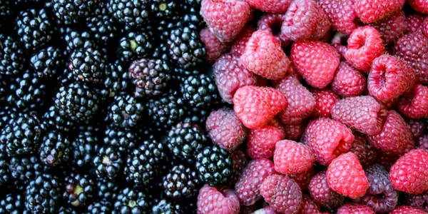 Banner Ansicht Von Oben Vollständiger Rahmen Aus Brombeeren Und Himbeeren — Stockfoto