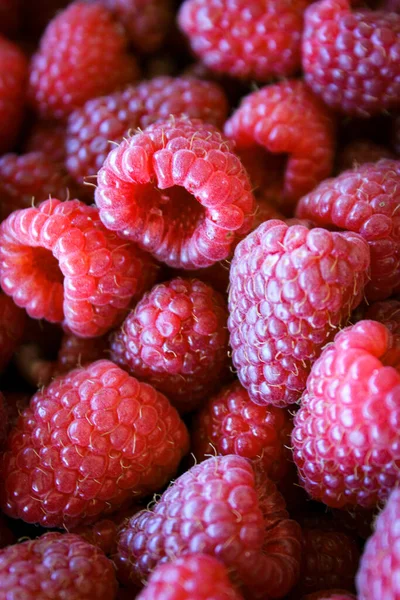 Vertical Shot Raspberries Pink Raspberries Macro Close Zavidovici Bosnia Herzegovina — Stock Photo, Image
