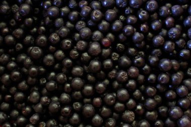 Tam porsiyon böğürtlen. Aronia çilekleri. Zavidovici, Bosna-Hersek.