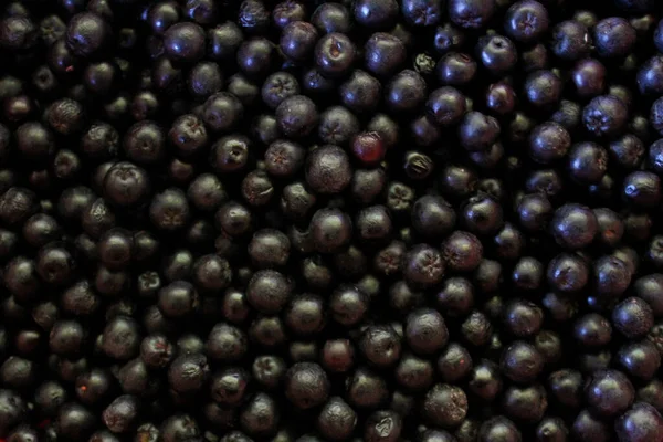 Tam porsiyon böğürtlen. Aronia çilekleri. Zavidovici, Bosna-Hersek.