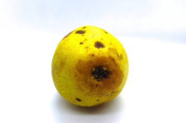 Beyaz arka planda güzel sarı bir armut. Beyaz arka planda siyah noktalı sarı armut.