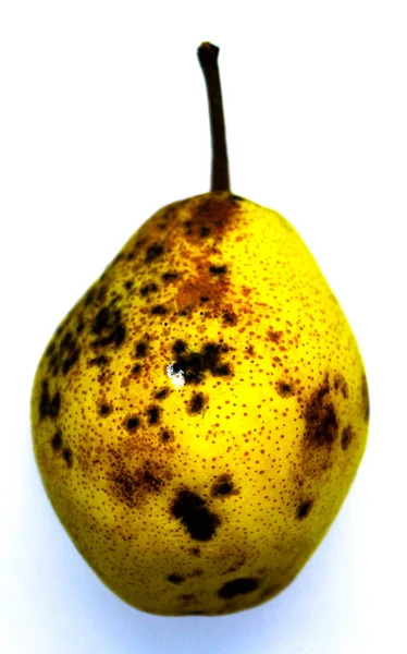 Beautiful Yellow Pear White Background Yellow Pear Black Dots Isolated — Stock Photo, Image