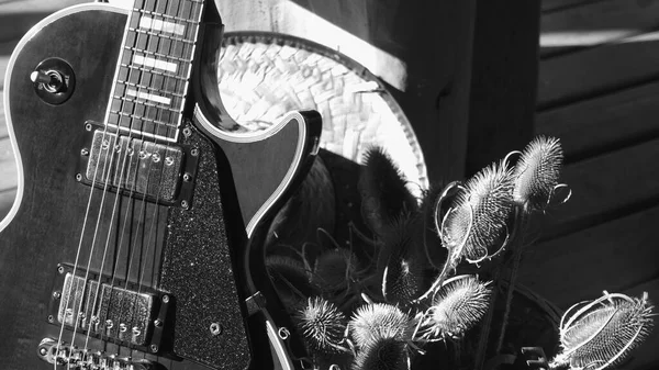 Elektrisk Gitar Trebrettene Svart Hvit – stockfoto