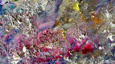 Renkli soyut arka plan duvar kağıdı. Modern motif görsel sanat. Yağlı boya karışımı. Moda el boyama bezi. Duvar dekorasyonu ve duvar resimleri fikri. 3 Boyutlu Doku