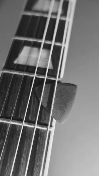 Guitarra Eléctrica Blanco Negro Espacio Copia —  Fotos de Stock