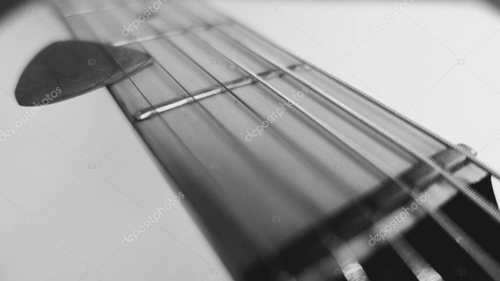 electric guitar . black and white . copy space