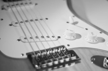Elektro gitar kapanışı. siyah ve beyaz
