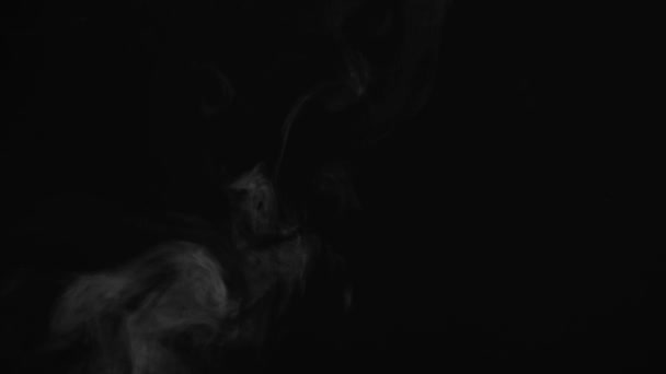 雲とタバコの煙の混合物 そうだ 暗い背景だ スローモーション — ストック動画