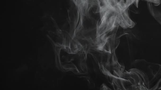 Nube Humo Cigarrillo Mezcla Fondo Oscuro Cámara Lenta — Vídeo de stock