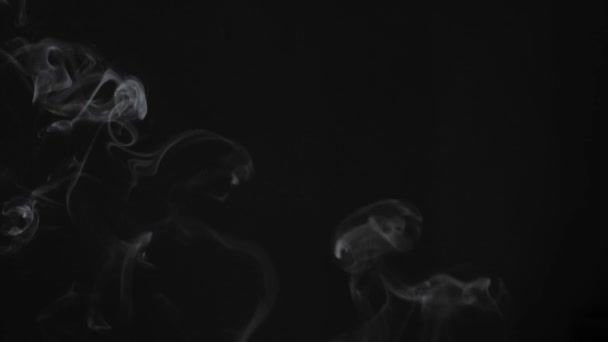 Cloud Cigarette Smoke Mixing Dark Background Slow Motion — Stock Video