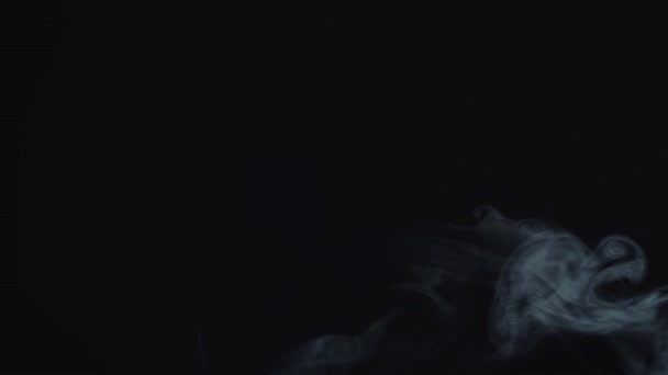 Cloud Cigarette Smoke Mixing Dark Background — Stock Video