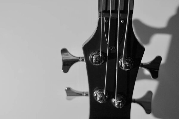 Bass guitar headstock . Closeup . Copy space
