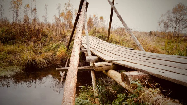 wooden bridge .nature in autumn