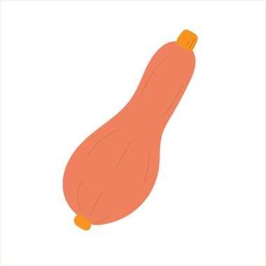 El yapımı sebze. Renkli kabak. Tasarımınız için basit ve komik vektör çizimi. Moda organik tarzında beyaz arkaplanda meyveler izole edilmiş