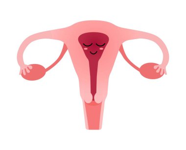 Cute cartoon uterus in flat style with funny smiling face. Hand drawn kawaii vector illustration. clipart