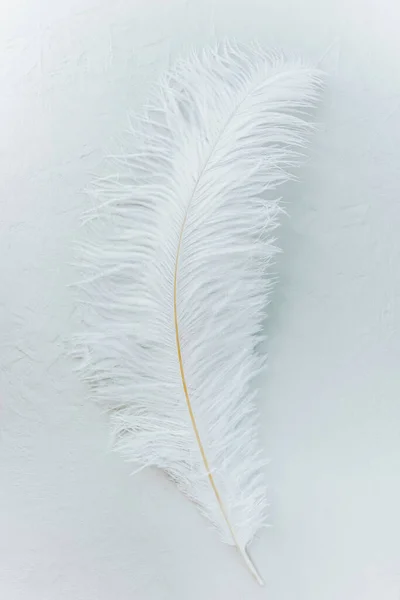 Fondo de textura de pluma blanca. —  Fotos de Stock