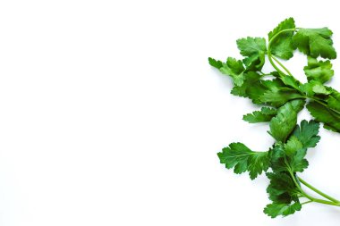 Maydanoz, kopyalama alanı olan beyaz bir arkaplanda izole edildi.