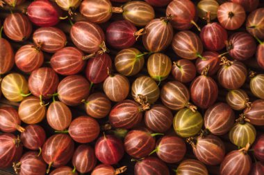 Tahta üzerinde taze bektaşi üzümü, sağlıklı yiyecekler. doku arkaplanı. Yüksek kalite fotoğraf