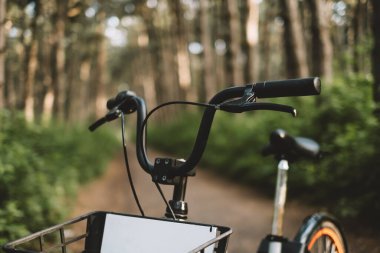 Orman yolunda bisiklet, aktif yaşam tarzı, açık hava sporları..