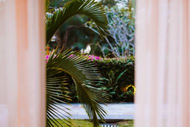 Lüks otelin tropik bahçeye bakan penceresi. Yüksek kalite fotoğraf