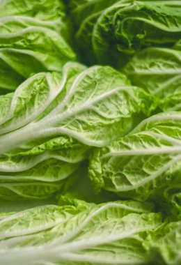 Çin lahanası, yeşil yaprakların arka plan dokusu, düzlük. Yüksek kalite fotoğraf