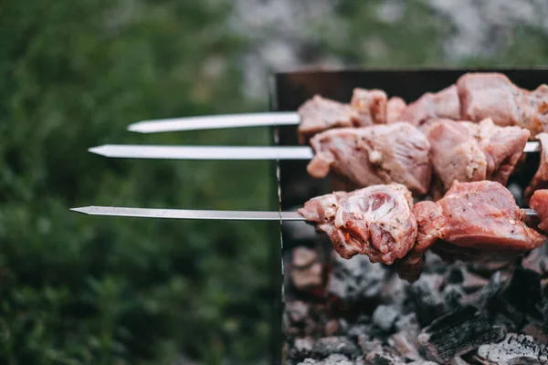 Cucinare Spiedini Barbecue Kebab Marinato Viene Grigliato Sul Carbone Carne — Foto Stock