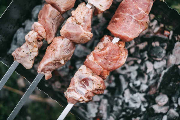 Pečení Grilovacích Špejlí Marinovaný Kebab Griluje Dřevěném Uhlí Vepřové Shish — Stock fotografie