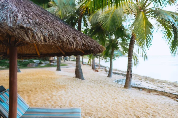 ヤシの木の下の海で砂のビーチで空のサンベッド 熱帯の休日 高品質の写真 — ストック写真
