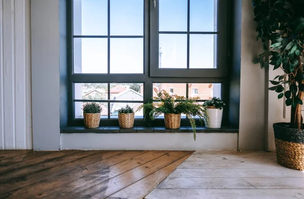 Pots Osier Avec Des Plantes Près Fenêtre Sur Rebord Fenêtre — Photo